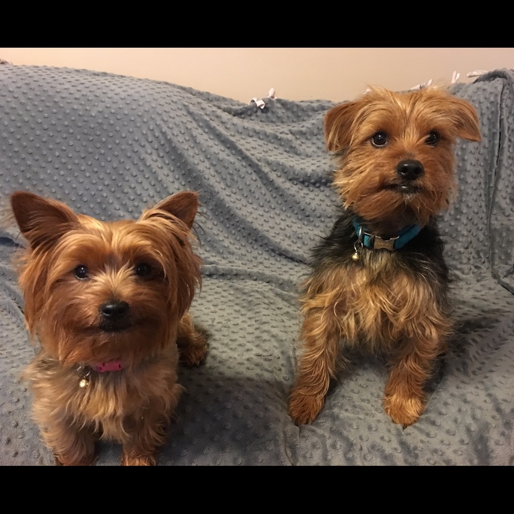 Meet your Posher, Erika